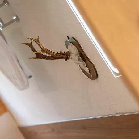 Reste Fidele Duplex Fiesch