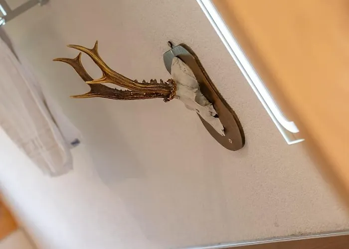 Reste Fidele Duplex Fiesch